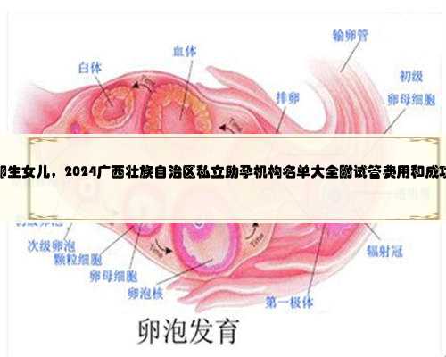 广西借卵生女儿，2024广西壮族自治区私立助孕机构名单大全附试管费用和成功